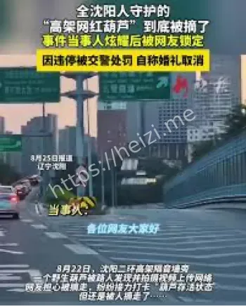 网红葫芦