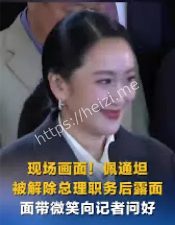 西那瓦家族