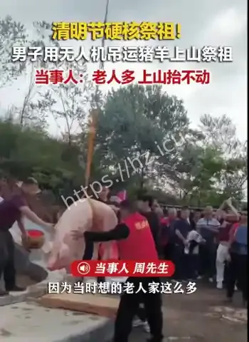 清明男子无人机吊猪羊祭祖